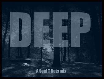 Dj SoulTnuts - Deep
