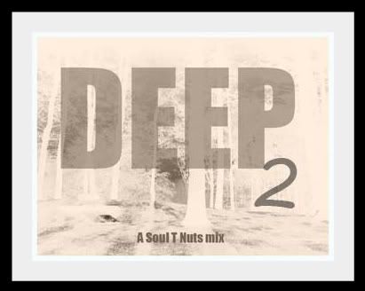 soultnuts - deep vol 2