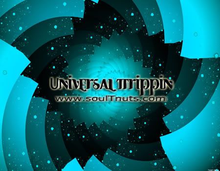 soultnuts - Universal Trippin