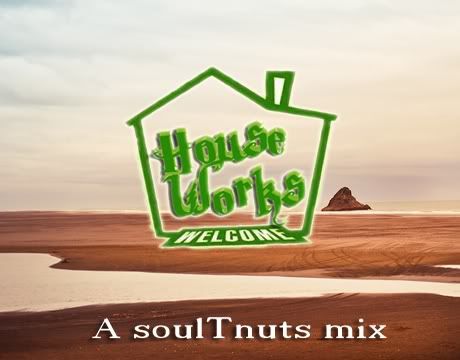 soultnuts - house works