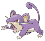 Rattata Pictures, Images and Photos