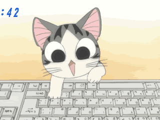 Typing Kitty