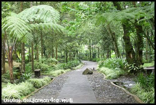 Coban Rondo Coban Rondo