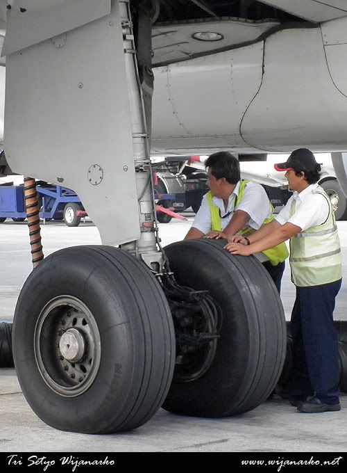 Mandala Airlines Mandala Airlines
