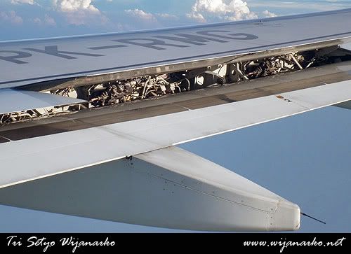Mandala Airlines Mandala Airlines