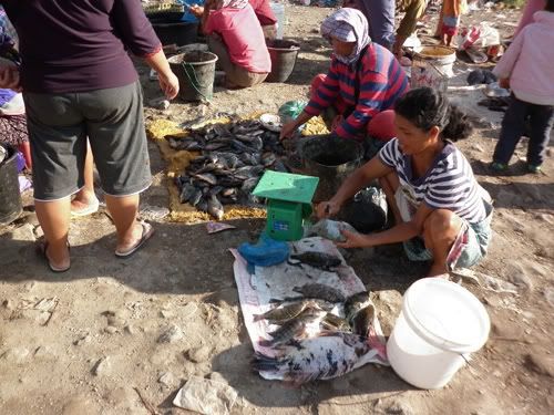 pelabuhan tomok pelabuhan tomok