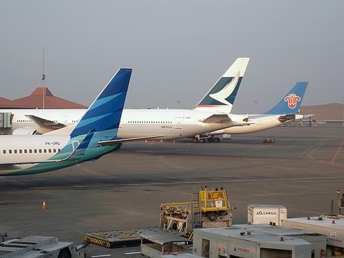 garuda indonesia garuda indonesia