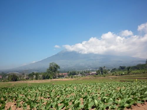 Yuk Berangkat Ke Dieng