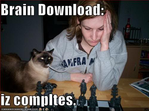 funny-pictures-cat-downloads-brain-.jpg