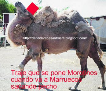 MoratinosenMarruecos.jpg picture by bibliotecaria2000