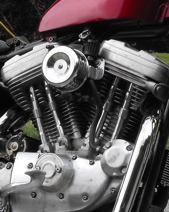 sportster crankcase breather kit