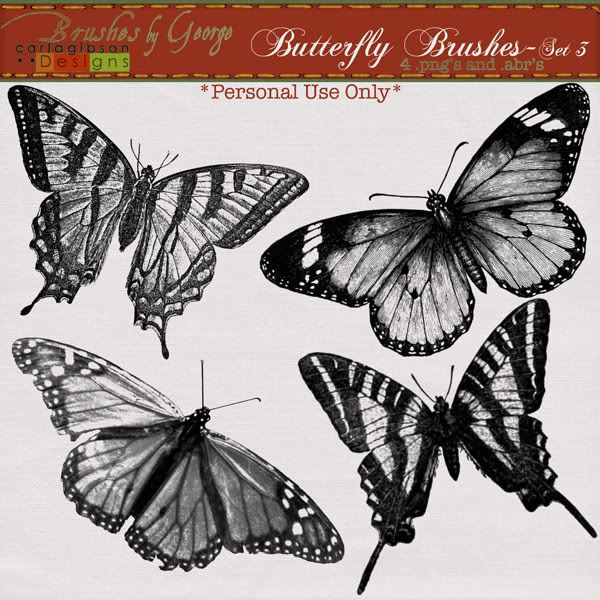 cgibson-butterflybrushes-3-600.jpg