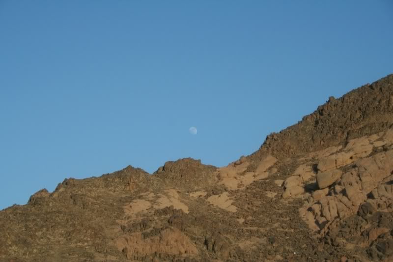 IMG_0593.jpg