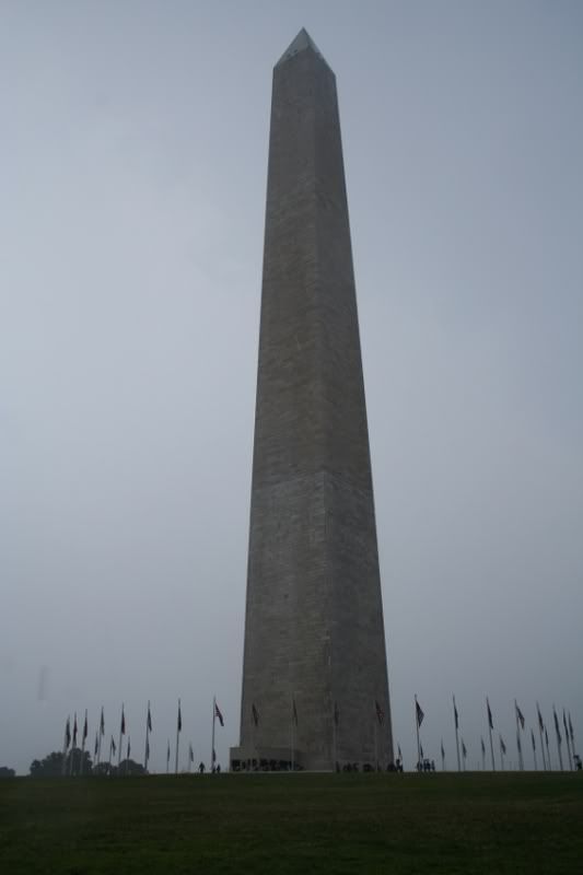 IMG_1714.jpg