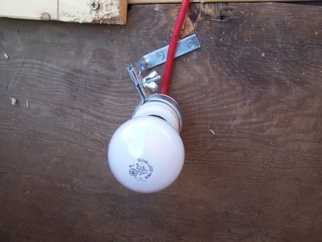  Bird Dogs • View topic - Lightbulb heater for water and dog house