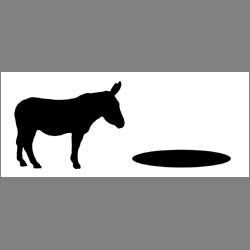 ASS-Hole Pictures, Images and Photos