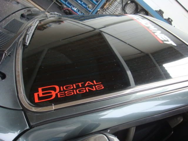DSC07095.jpg