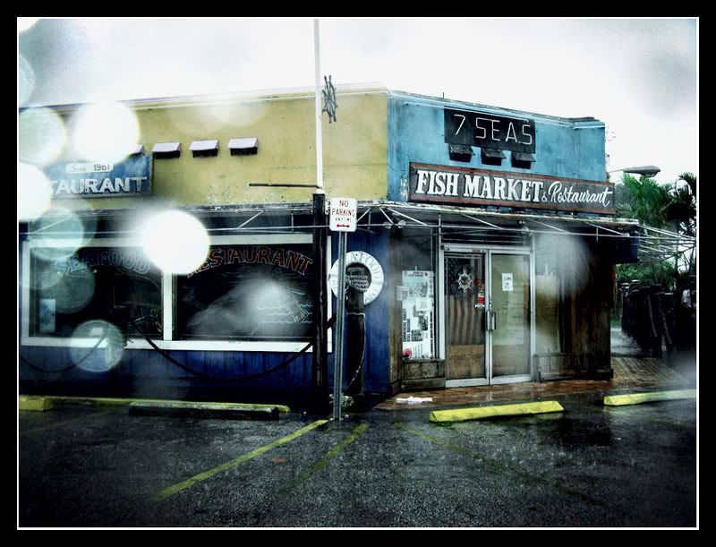 IMAGE: http://i107.photobucket.com/albums/m296/wolfgang7/180327898-Lcopy.jpg