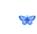  photo butterfly2.gif