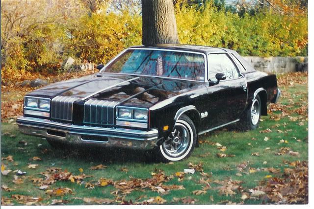 1977 Oldsmobile cutlass salon 1977 Oldsmobile cutlass salon