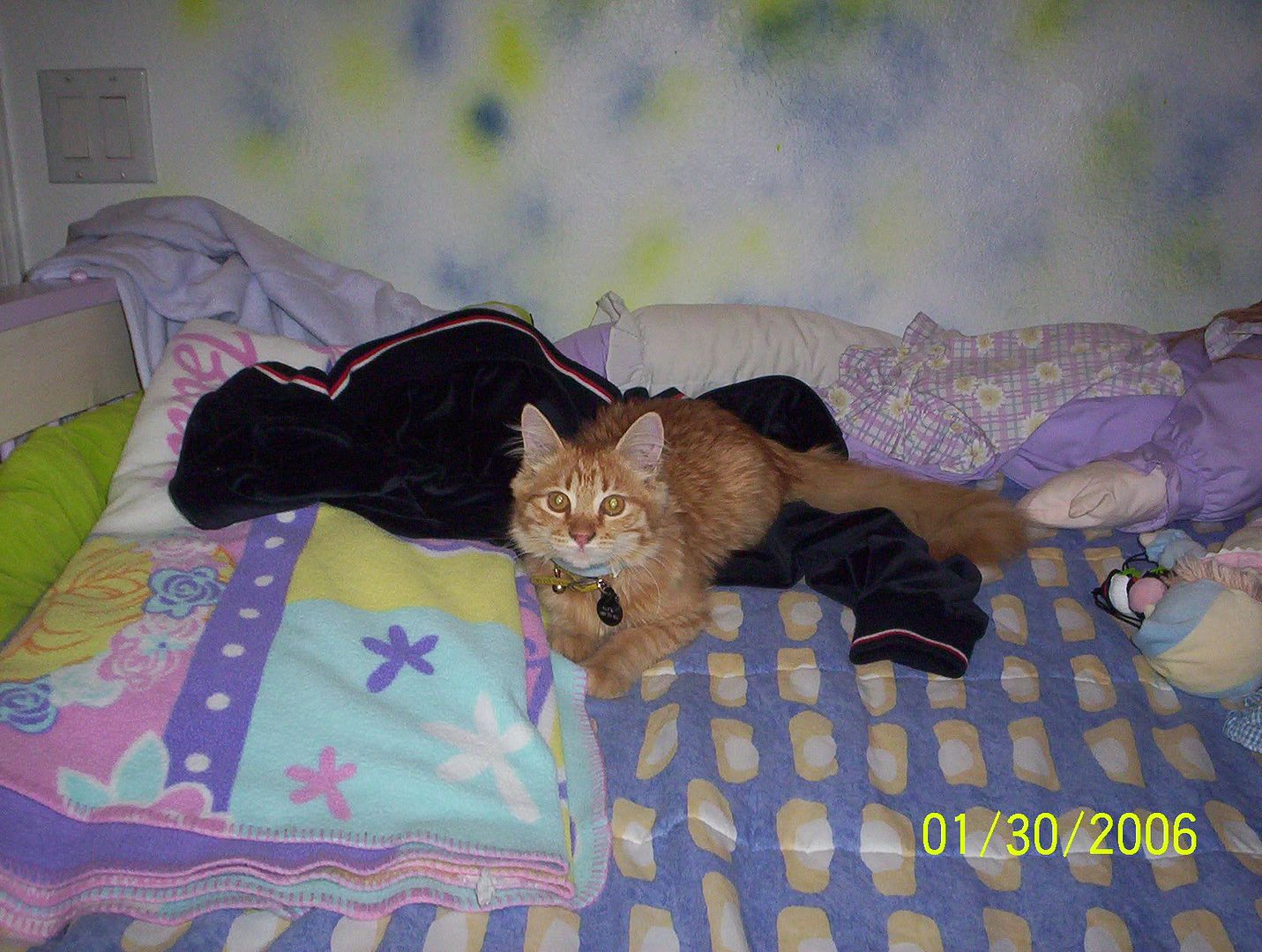 picture