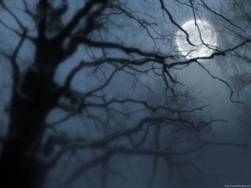 http://i107.photobucket.com/albums/m301/venusblueangel/Moon_Tree.jpg
