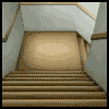 MNHgifi10.gif MNHgifi10.gif