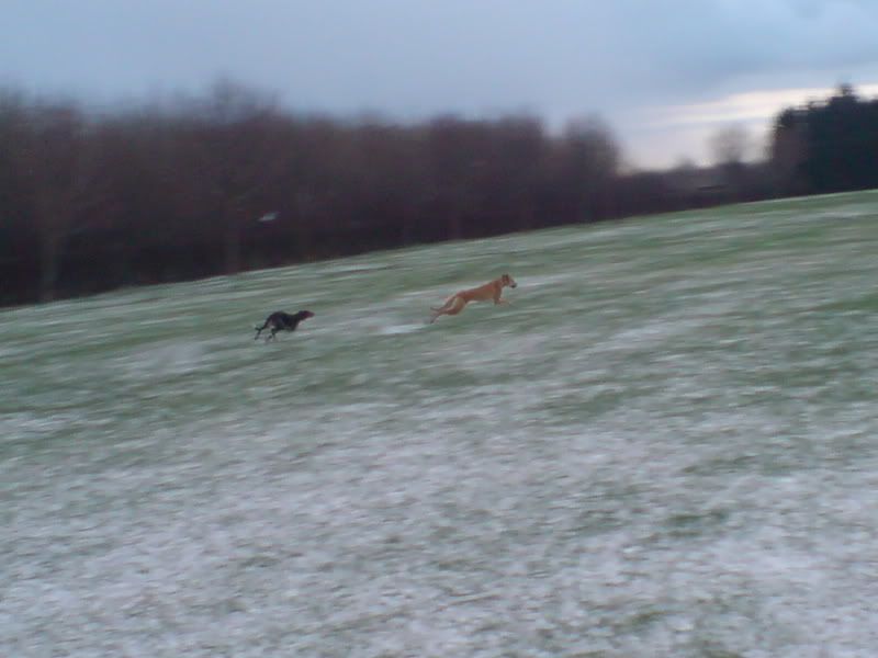 DSC01061.jpg