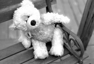 teddy bear Pictures, Images and Photos