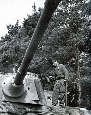 CamoScheme10d.jpg