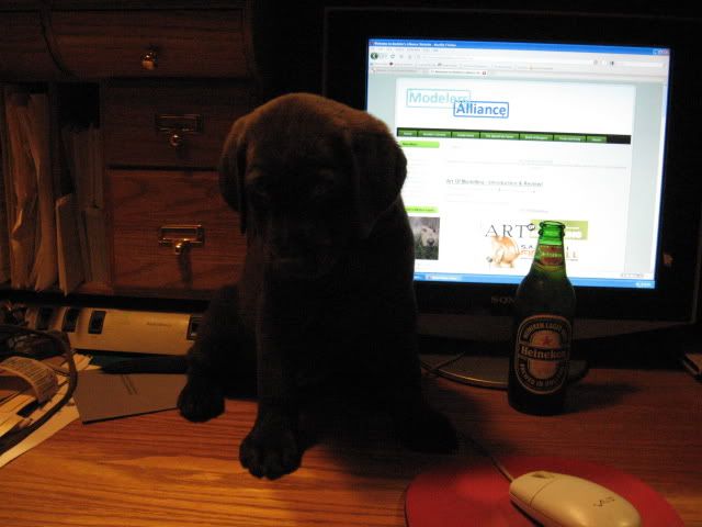 Picture1505.jpg