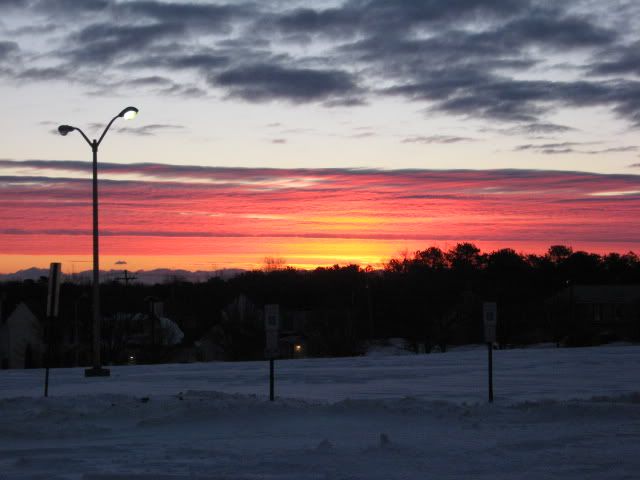 Picture1533.jpg