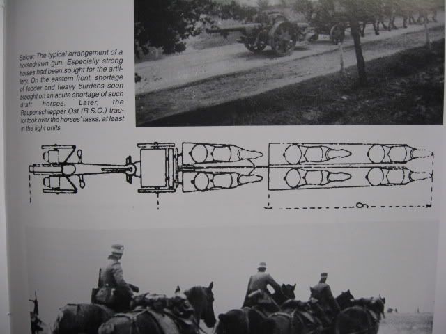 Picture1607.jpg