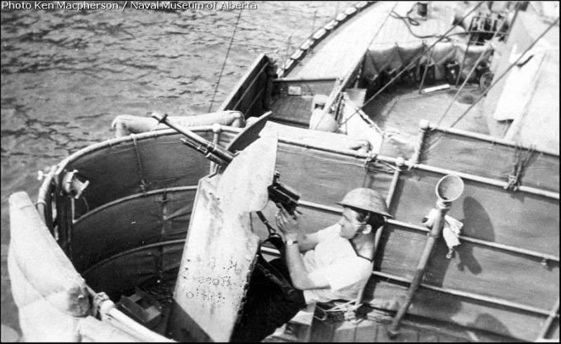TrilliumK172guns-02.jpg