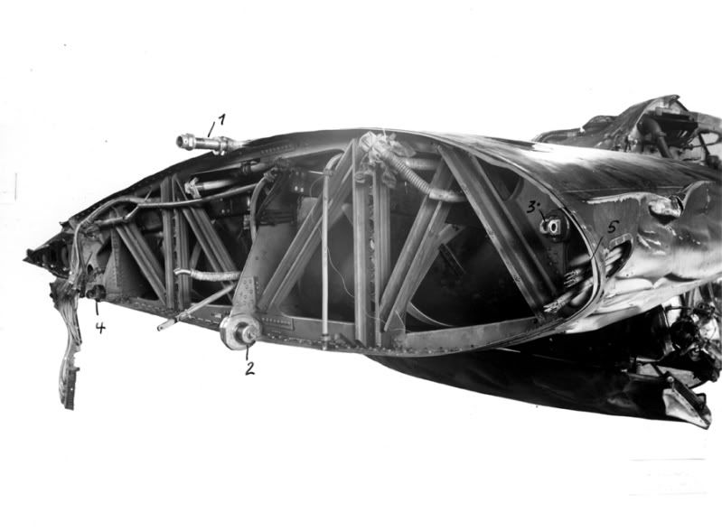 ldg4.jpg