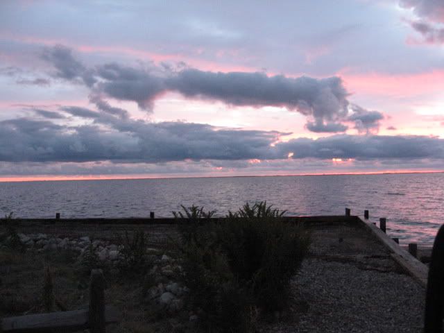 Picture1449.jpg