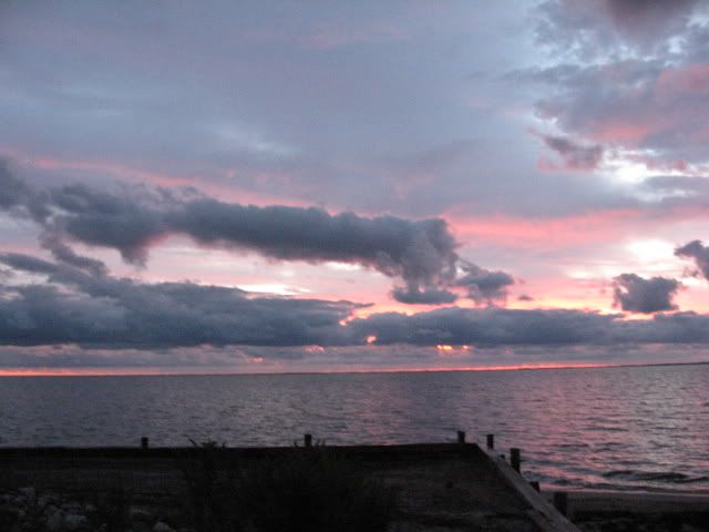 Picture1450.jpg