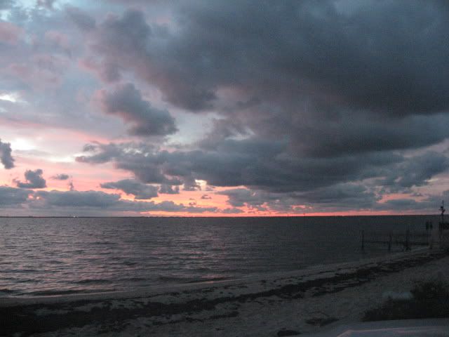 Picture1451.jpg