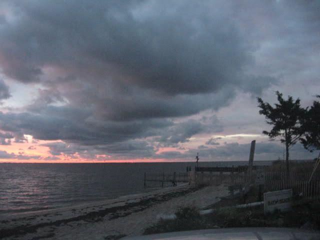 Picture1452.jpg