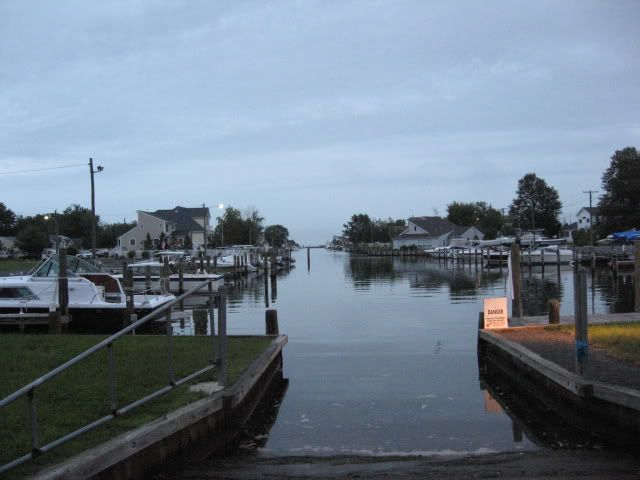 Picture1664.jpg