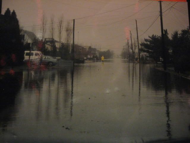 Picture1669.jpg