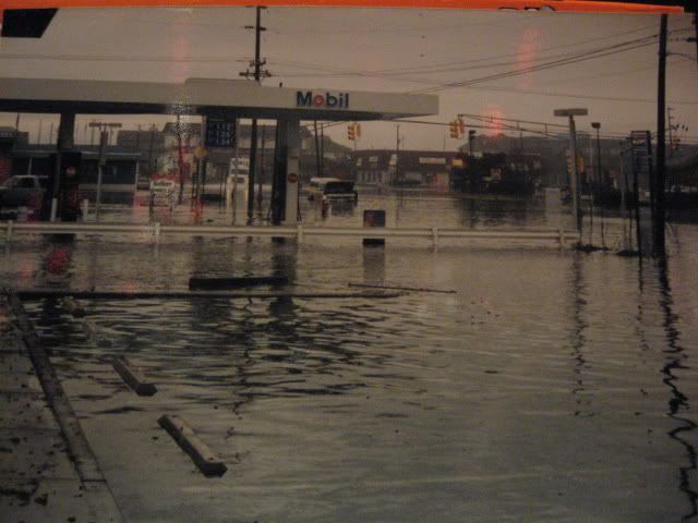 Picture1672.jpg