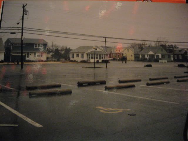 Picture1688.jpg
