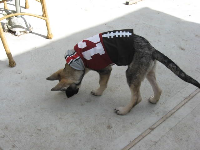 Picture1728.jpg