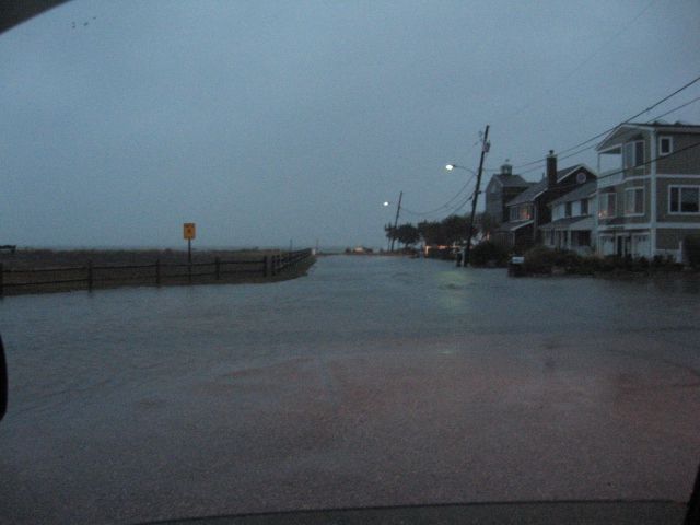 Picture1884.jpg