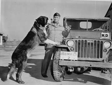 dog_mp_jeep_texas_1942_sm.jpg