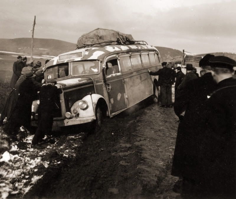 2315.jpg