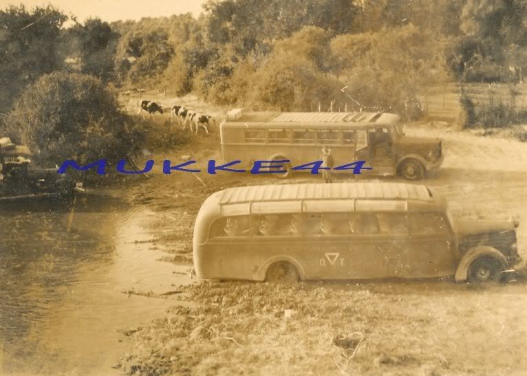 3T.jpg