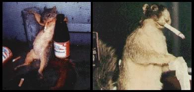 smokingsquirrel.jpg