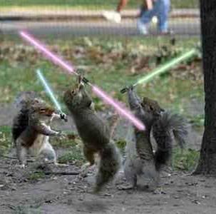 squirrels.jpg